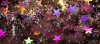 glittery confetti with star shapes